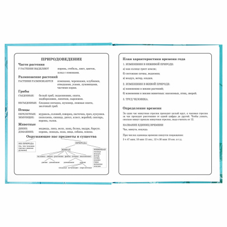 Дневник 1-4 класс 48 л., твердый, BRAUBERG, глянцевая ламинация, с подсказом, "Милые Коалы", 106358 - Дневники для младших классов