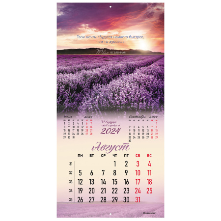 Календарь настенный перекидной на 2024 г., BRAUBERG, 12 листов, 29х29 см, "Твоя вселенная", 115320 - Календари настенные