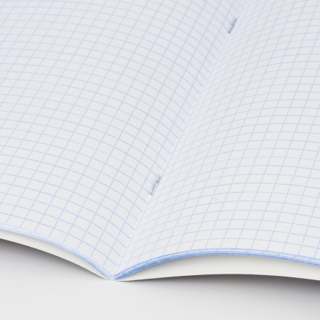 Тетрадь предметная "AVOCADO" 48 л., глянцевый лак, ХИМИЯ, клетка, BRAUBERG, 404284 - Тетради предметные