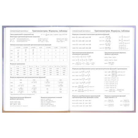Дневник 1-11 класс 48 л., твердый, BRAUBERG, блестки, с подсказом, "Корги", 106607 - Дневники для младших классов