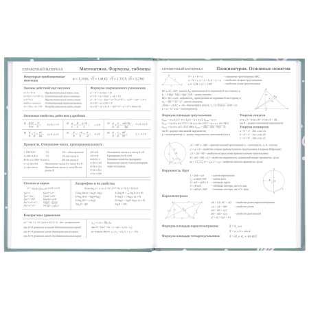 Дневник 5-11 класс 48 л., твердый, BRAUBERG, блестки, с подсказом, "Кактусы", 106420 - Дневники для старших классов