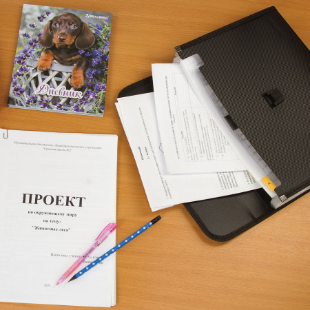 Папка для бумаг и документов с замком и 13 отделениями BRAUBERG "HIT", А4, пластик, черная, 229572 - Папки пластиковые с отделениями