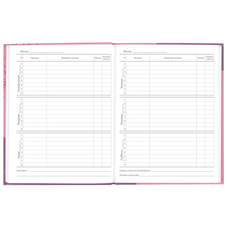 Дневник 5-11 класс 48 л., твердый, BRAUBERG, глянцевая ламинация, с подсказом, "Сладкая Жизнь", 106400 - Дневники для старших классов