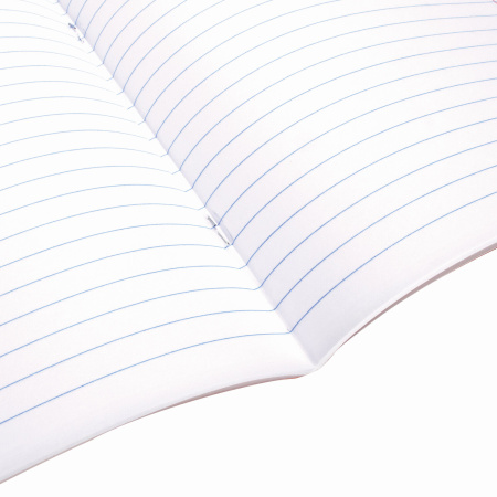 Тетради предметные, КОМПЛЕКТ 10 ПРЕДМЕТОВ, "КЛАССИКА XXI", 48 л., обложка картон, BRAUBERG, 404025 - Тетради предметные