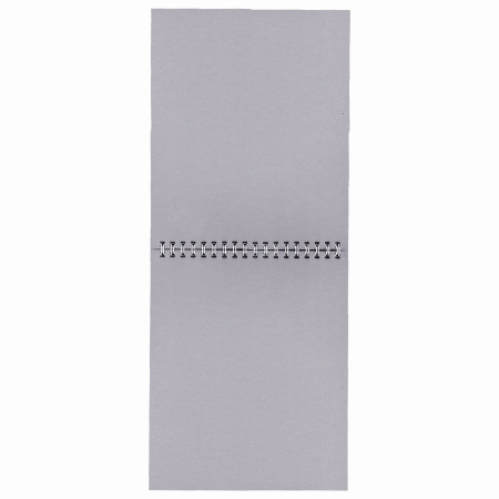 Скетчбук, серая бумага 120 г/м2, 170х195 мм, 30 л., гребень, подложка, цветная фольга, &quot;Одуванчик&quot;, 98672 - Альбомы, скетчбуки и бумага для графики и эскизов