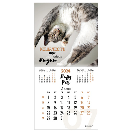 Календарь настенный перекидной на 2024 г., BRAUBERG, 12 листов, 29х29 см, "Кошечки", 115315 - Календари настенные