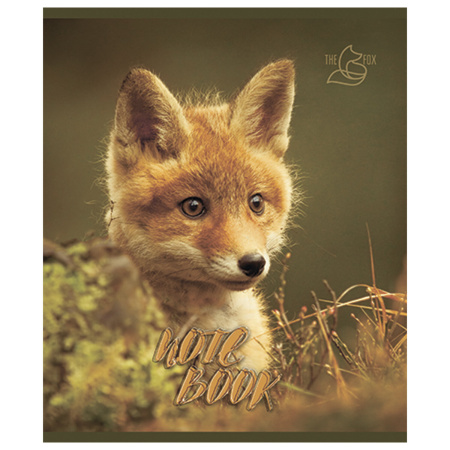 Тетрадь А5, 48 л., ПЗБМ, скоба, клетка, конгрев, глянцевый лак, "Хитрый лис" (5 видов), 028061 - Тетради 40-48 листов