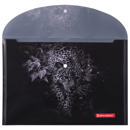 Папка-конверт с кнопкой BRAUBERG "LEOPARD", А4, 160 мкм, до 100 листов, цветная печать, 228039 - Папки-конверты с кнопкой