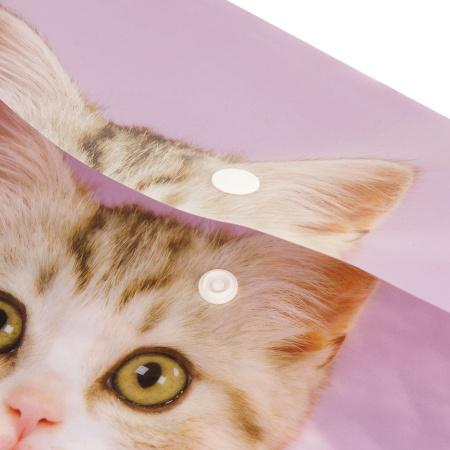 Папка-конверт с кнопкой ЮНЛАНДИЯ "Котенок", А4, 160 мкм, до 100 листов, цветная печать, 228049 - Папки-конверты с кнопкой