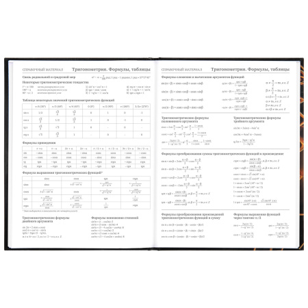 Дневник МП 1-11 класс 48 л., твердый, BRAUBERG, глянцевая ламинация, с подсказом, "Футбол", 106644 - Дневники универсальные