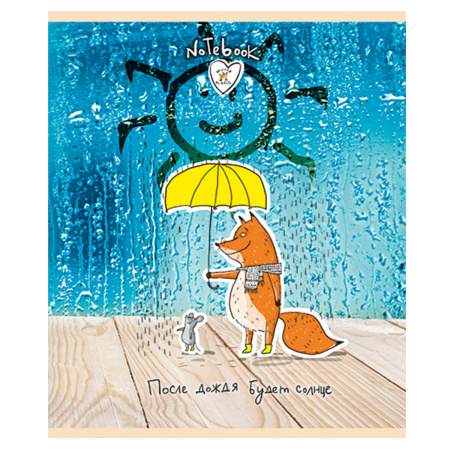 Тетрадь А5, 48 л., ПЗБМ, скоба, клетка, конгрев, выборочный TWIN лак, "Милая рыжесть" (5 видов), 029616 - Тетради 40-48 листов