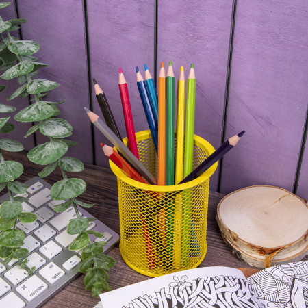 Карандаши цветные BRAUBERG PREMIUM, 12 цветов, пластиковые, шестигранные, грифель мягкий 3 мм, 181666 - Карандаши цветные