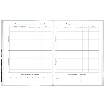 Дневник 5-11 класс 48 л., твердый, BRAUBERG, выборочный лак, с подсказом, "Super Car", 106634 - Дневники для старших классов