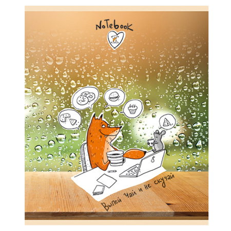 Тетрадь А5, 48 л., ПЗБМ, скоба, клетка, конгрев, выборочный TWIN лак, "Милая рыжесть" (5 видов), 029616 - Тетради 40-48 листов