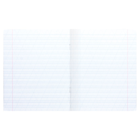 Тетрадь 12 л. BRAUBERG ЭКО "5-КА", косая линия, обложка плотная мелованная бумага, ЗЕЛЕНАЯ, 1 шт, 104762 - Тетради 12-24 листов