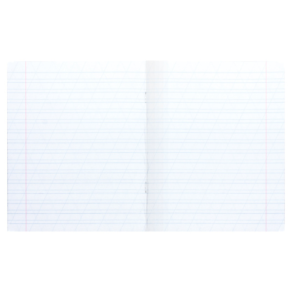 Тетрадь 12 л. BRAUBERG ЭКО "5-КА", косая линия, обложка плотная мелованная бумага, ЗЕЛЕНАЯ, 1 шт, 104762 - Тетради 12-24 листов