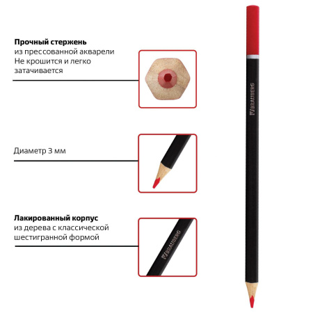 Карандаши цветные акварельные BRAUBERG "Artist line", 24 цвета, заточенные, высшее качество, 180570 - Карандаши цветные акварельные