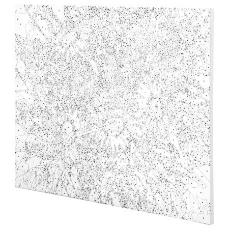 Картина по номерам 40х50 см, ОСТРОВ СОКРОВИЩ "Ромашки", на подрамнике, акрил, кисти, 662913 - Картины по номерам