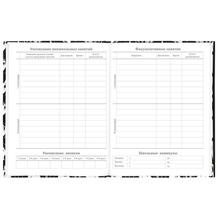 Дневник МП 1-11 класс 48 л., твердый, BRAUBERG, глянцевая ламинация, с подсказом, "Аниме", 106646 - Дневники универсальные