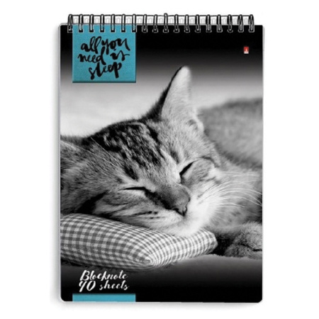 Блокнот А5, 40 л., гребень, ламинированный картон, клетка, Альт, "Кошки", (5 видов), 3-40-462 - Блокноты