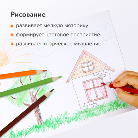 Карандаши цветные СУПЕРМЯГКИЕ ЮНЛАНДИЯ "ТРОПИКИ", 18 цветов, трехгранные, с РАСКРАСКОЙ, 181648 - Карандаши цветные