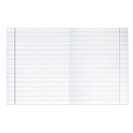 Тетрадь ВЕЛИКИЕ ИМЕНА. Толстой Л.Н., 12 л. частая косая линия, плотная бумага 80 г/м2, обложка тонированный офсет, BRAUBERG, 105719 - Тетради 12-24 листов