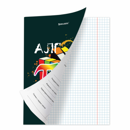 Тетрадь предметная со справочным материалом ORIGINAL 48 л., TWIN лак, АЛГЕБРА, клетка, BRAUBERG, 404297 - Тетради предметные