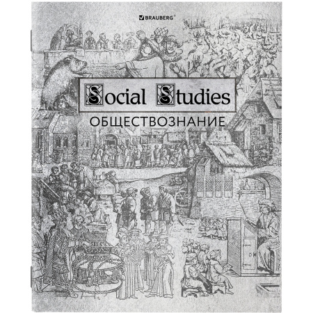 Тетради предметные, КОМПЛЕКТ 12 ПРЕДМЕТОВ, "SILVER", 48 листов, с серебряной обложкой, BRAUBERG, 404034 - Тетради предметные