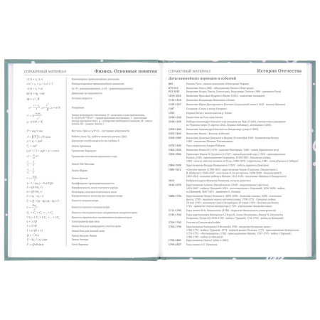 Дневник 5-11 класс 48 л., твердый, BRAUBERG, блестки, с подсказом, "Кактусы", 106420 - Дневники для старших классов