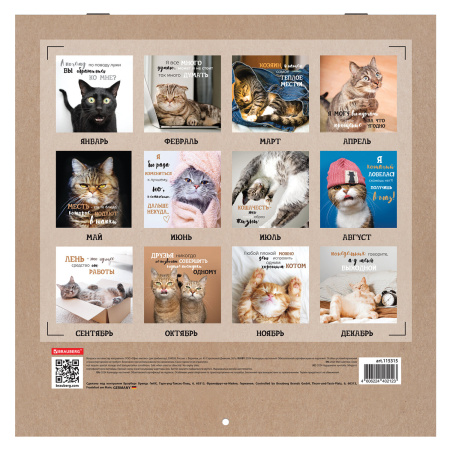 Календарь настенный перекидной на 2024 г., BRAUBERG, 12 листов, 29х29 см, "Кошечки", 115315 - Календари настенные