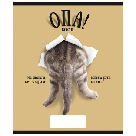 Тетрадь А5, 48 л., ПЗБМ, скоба, клетка, выборочный TWIN лак, "ОПА!" (5 видов), 028664 - Тетради 40-48 листов