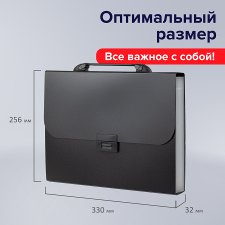 Папка-портфель пластиковая BRAUBERG "Energy" А4 (330х256х32 мм), 7 отделений, черная, 221204 - Портфели пластиковые