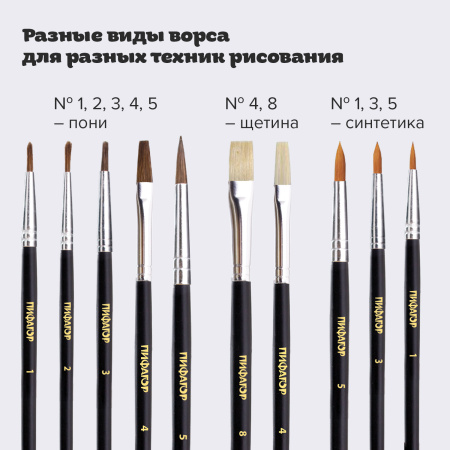 Кисти ПИФАГОР, набор 10 шт. (ПОНИ: плоская № 4, круглые № 1, 2, 3, 5; СИНТЕТИКА: круглые № 1, 3, 5; ЩЕТИНА: плоские № 4, 8), блистер, 200505 - Кисти для рисования