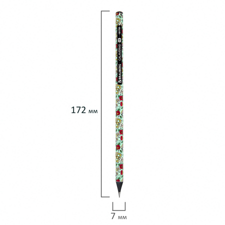 Карандаш чернографитный BRAUBERG "CALAVERAS", 1 шт., HB, корпус ассорти, 181758 - Карандаши чернографитные