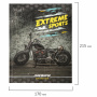 Дневник 1-4 класс 48 л., твердый, BRAUBERG, выборочный лак, с подсказом, "Крутой байк", 106362 - Дневники для младших классов