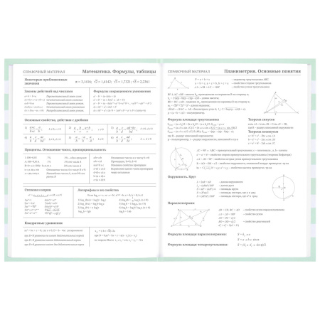 Дневник 1-11 класс 48 л., твердый, BRAUBERG, блестки, с подсказом, "Котик", 106606 - Дневники для младших классов