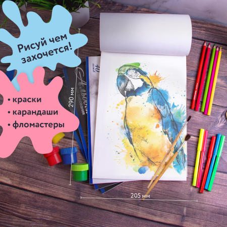 Альбомы для рисования А4 40 л., КОМПЛЕКТ 4 шт., скоба, обложка картон, BRAUBERG, 200х283 мм, "Кони" (2 вида), 880037 - Альбомы и папки для рисования