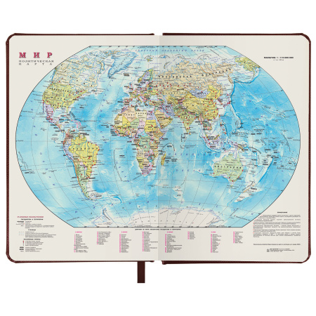 Ежедневник недатированный А5 138х213 мм BRAUBERG "Iguana" под кожу, 160 л., темно-коричневый, 125090 - Ежедневники с покрытием "под кожу и ткань"