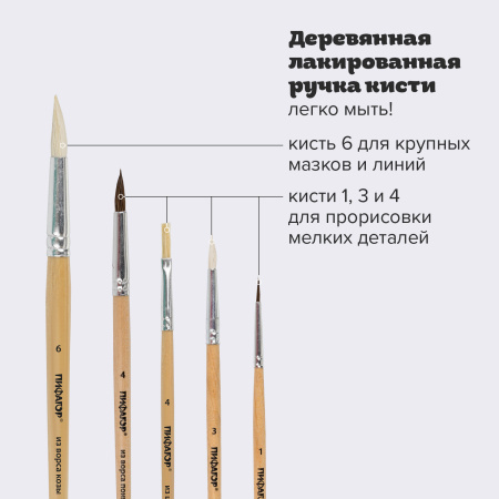 Кисти ПИФАГОР, набор 5 шт. (ПОНИ: круглые № 1, 4; КОЗА: круглые № 3, 6; ЩЕТИНА: плоская № 4), пакет с европодвесом, 200892 - Кисти для рисования