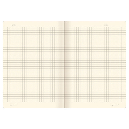 Тетрадь 40 л. в клетку обложка КРАФТ, бежевая бумага 70 г/м2, сшивка, А5 (147х210 мм), СКЕЙТЕР, BRAUBERG, 403757 - Тетради 40-48 листов