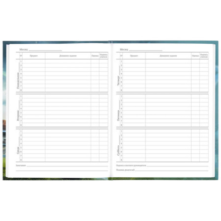 Дневник 5-11 класс 48 л., твердый, BRAUBERG, глянцевая ламинация, с подсказом, "Футбол", 106633 - Дневники для старших классов