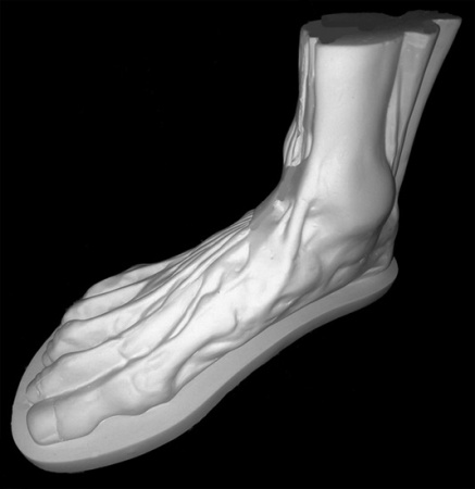 Стопа анатомическая 28*11*18 (20-210)