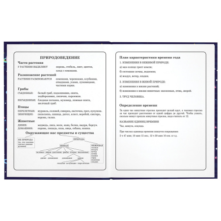 Дневник 1-4 класс 48 л., твердый, ЮНЛАНДИЯ, глянцевая ламинация, с подсказом, "Little star", 106597 - Дневники для младших классов