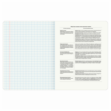 Тетрадь предметная "КОТ-ЭНТУЗИАСТ" 48 л., TWIN-лак, БИОЛОГИЯ, клетка, подсказ, BRAUBERG, 404559 - Тетради предметные