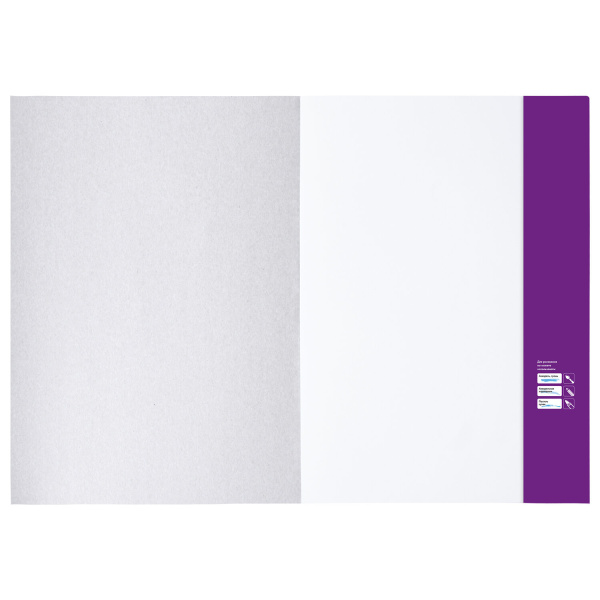 Папка для рисования БОЛЬШОГО ФОРМАТА А3, 20 л., 160 г/м2, BRAUBERG, 297х420 мм, "Орел", 125228 - Альбомы, скетчбуки и бумага для графики и эскизов