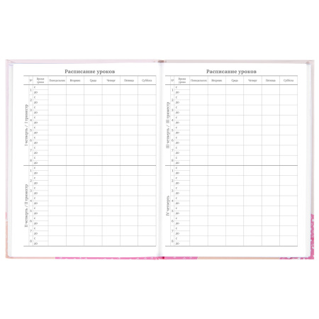 Дневник 5-11 класс 48 л., твердый, BRAUBERG, глянцевая ламинация, с подсказом, "Летний", 106631 - Дневники для старших классов