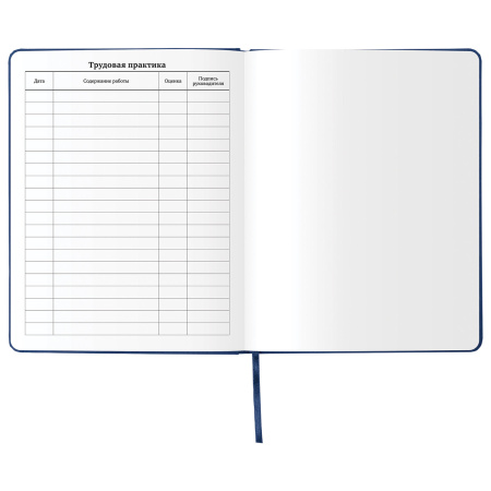 Дневник 1-11 класс 48 л., кожзам (твердая), шелкография, BRAUBERG, "ГРАФФИТИ", 105990 - Дневники универсальные