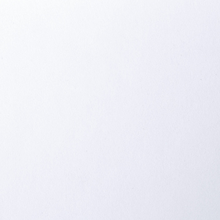 Папка для рисования А4, 20 л., 160 г/м2, BRAUBERG, 210х297 мм, "Орел", 125230 - Альбомы, скетчбуки и бумага для графики и эскизов