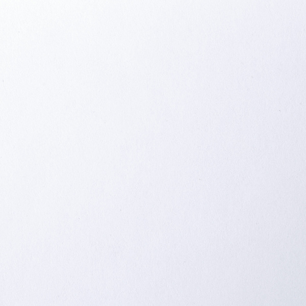 Папка для рисования А4, 20 л., 160 г/м2, BRAUBERG, 210х297 мм, "Орел", 125230 - Альбомы, скетчбуки и бумага для графики и эскизов