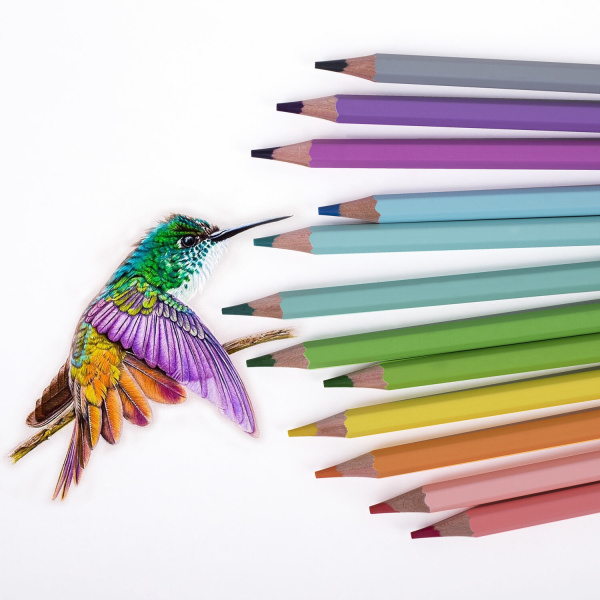 Карандаши цветные пастельные CARIOCA "Pastel", 12 цветов, шестигранные, заточенные, ПВХ чехол, 43034 - Карандаши цветные